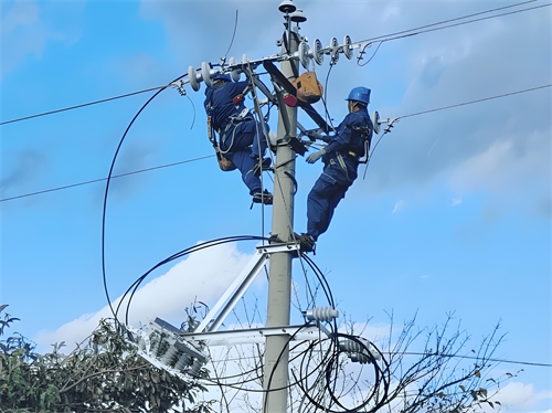 農村電網改造電線電纜施工